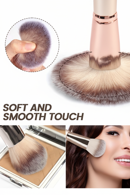 Premium Bristle Detail Infographic